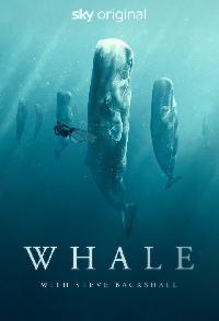 Whale With Steve Backshall
